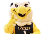 Canisius Golden Griffins