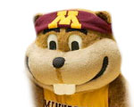 Minnesota Golden Gophers
