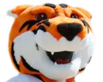 RIT Tigers
