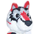 St. Cloud State Huskies