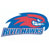 Massachusetts-Lowell River Hawks